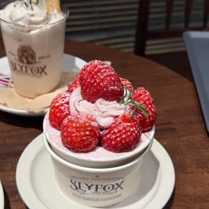 슬라이폭스 사진