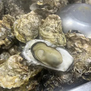 굴과찜사랑 사진 1