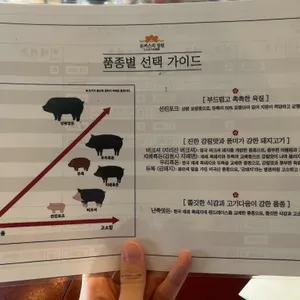 돈까스의정원 리뷰 사진