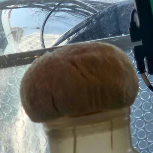 버섯잔치집 대표 사진