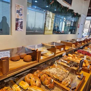 시노퍼 대표 사진