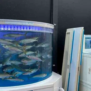 고등어다찌 대표 사진