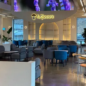 소석 200℃ 대표 사진