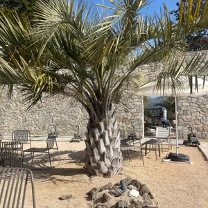 씨야드 리뷰 사진