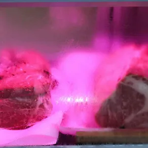 쌍쌍식육식당 대표 사진