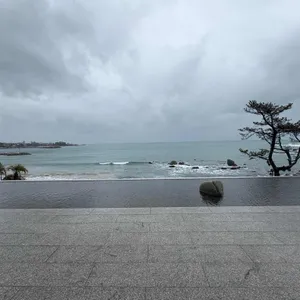 호피폴라 리뷰 사진