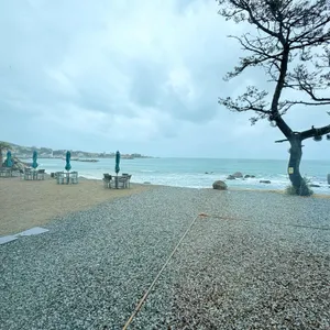 호피폴라 대표 사진