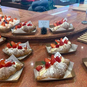 호피폴라 대표 사진