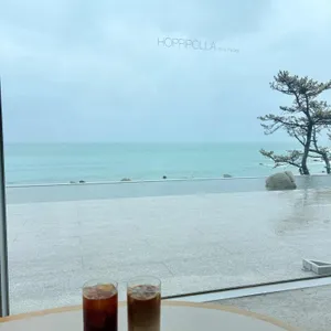 호피폴라 대표 사진