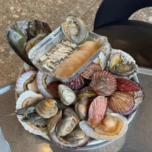 송도통큰조개 사진