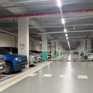 오퍼스240 리뷰 사진