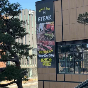 오퍼스240 리뷰 사진