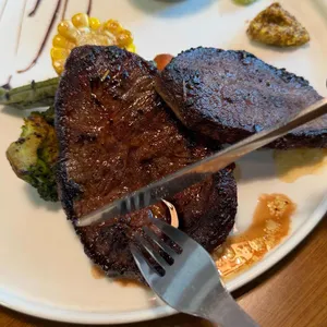 오퍼스240 대표 사진