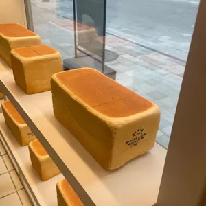 화이트리에 대표 사진