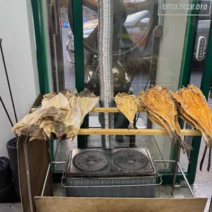 전일갑오 사진 2