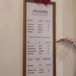 아첸투스 리뷰 사진