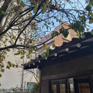 오가닉 모가 대표 사진