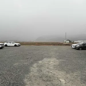 토끼뜰 리뷰 사진