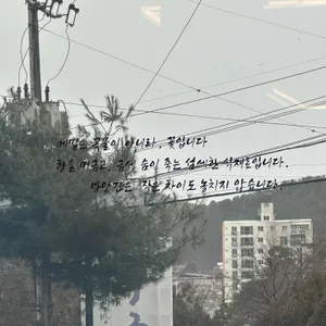 방앗간막국수 리뷰 사진