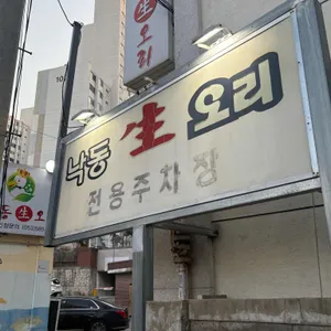 낙동생오리 대표 사진