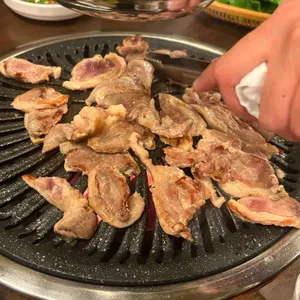 낙동생오리 대표 사진