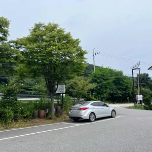 고향나들이 리뷰 사진