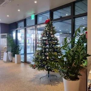 라운 대표 사진