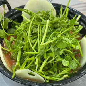 등촌샤브칼국수 사진