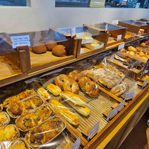 시노퍼 대표 사진