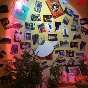 쥬쥬 대표 사진