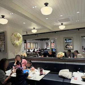 애슐리퀸즈 대표 사진