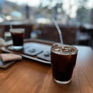 나무부엉이 사진 1