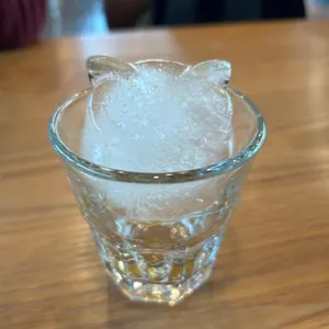 나무부엉이 대표 사진