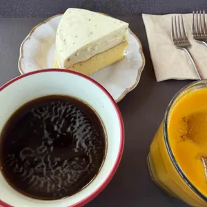 프란쓰 대표 사진