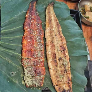 산골연잎장어 사진