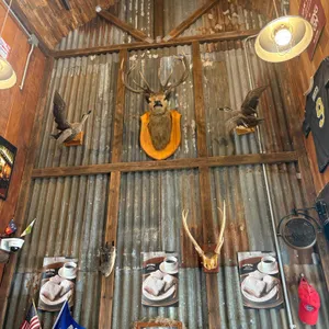 NEW IBERIA 대표 사진