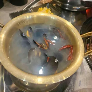 행운동조개 대표 사진