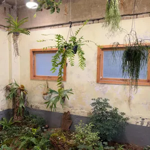 어흥당 대표 사진