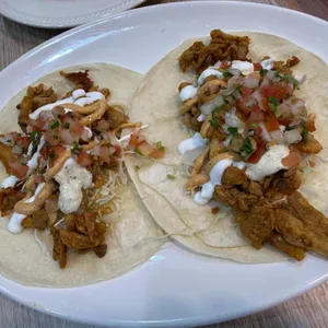 치코 대표 사진