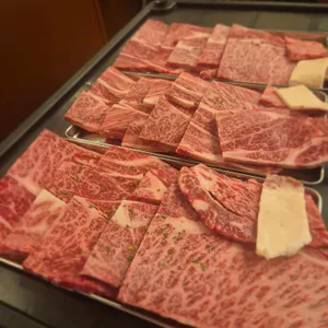 화명무궁화 대표 사진