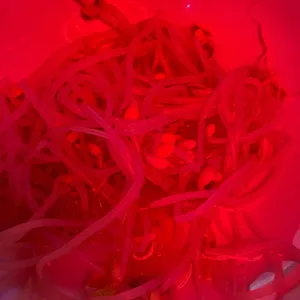 한신포차 대표 사진