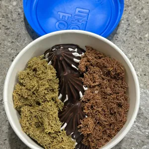 요거트월드 사진