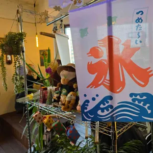 초여름 대표 사진