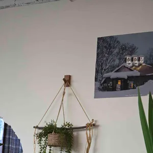 초여름 리뷰 사진