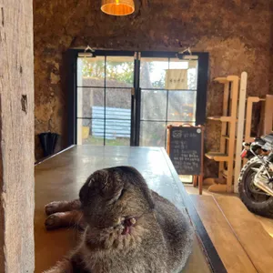 카페 귤한가 대표 사진