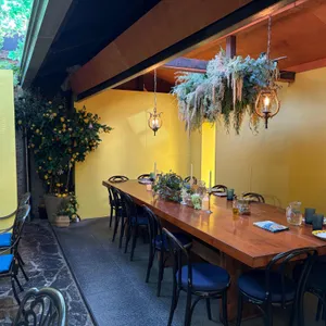 쇼니노 대표 사진