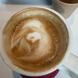 피크니처 사진 1