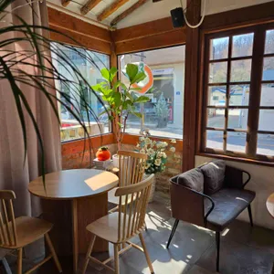 홍시궁 대표 사진