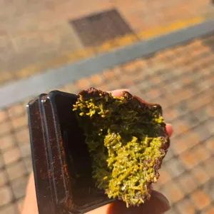 맘스브레드 대표 사진