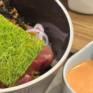 오포케 대표 사진